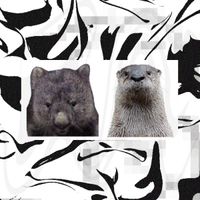 Jvly38! - JVLY & PTY ARE: RAP GAME TERRORISTS