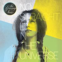The Grownup Noise - No Straight Line in the Universe