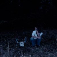Tiger Really - blame