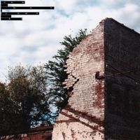 Franky Flowers - Lost Its Touch