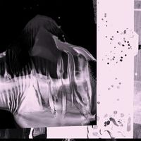 TR/ST - Iris