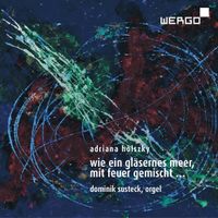 Dominik Susteck - Adriana H&ouml;lszky: Wie Ein Glasernes Meer Mit Feuer Gemischt