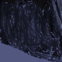 SuddenOakDeath - The Beauty and Darkness of Life Itself (Expanded Edition)