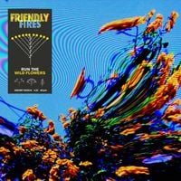 Friendly Fires - Run the Wild Flowers