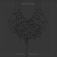Silver Fleet Ships - Before Never, After Forever