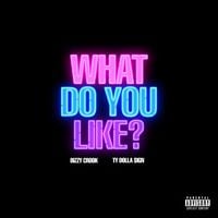 Bizzy Crook - What Do You Like