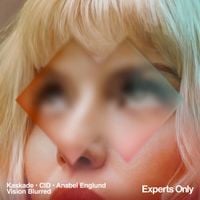 Kaskade - Vision Blurred