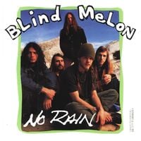 Blind Melon - No Rain
