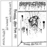 SEPTIC FUMES - Rehearsal Split Promo 2024