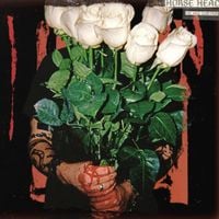 Horse Head - We Had Our Fun