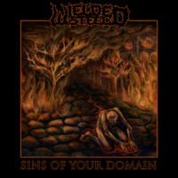 Wielded Steel - Sins Of Your Domain