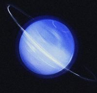 neptune queen - neptune queen