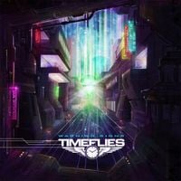 Timeflies - Warning Signs