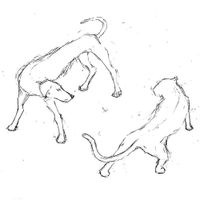 Seb Lowe - Dogs & Cats (acoustic)