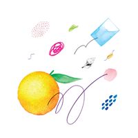American Pleasure Club - Oranges b/w Daniels