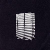 Stereo Type - Reactionary