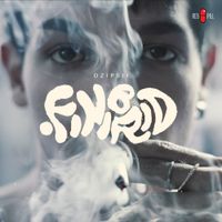 Džipsii - Finibrid