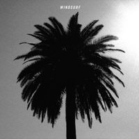 Windsurf - Weird Energy