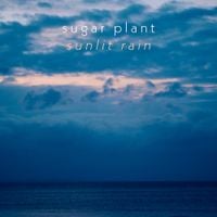 Sugar Plant - sunlit rain