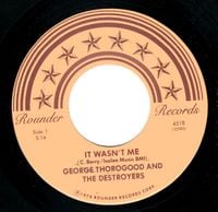 George Thorogood & The Destroyers - It Wasn't Me