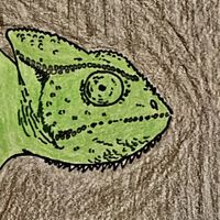 Murr - The Chameleon