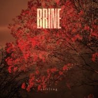 Brine - Softling