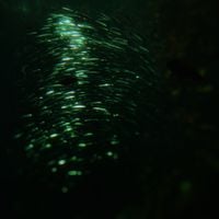 postdrome - From Heaven, from Nowhere