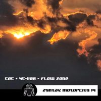 VC-118A - Flow Zone