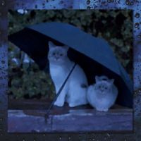 rangerbts - hydroplane