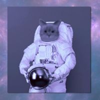 rangerbts - limits