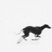 Feral Family - ...So Far Behind