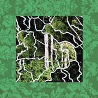 Bruiser & Bicycle - Woods Come Find Me
