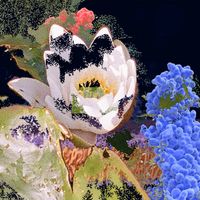 Aboutface - The World Disappears When You Go Into It