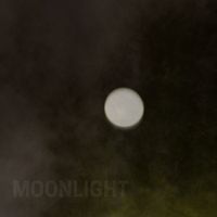 Mountain View - Moonlight