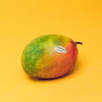 The New Electric Sound - Tango