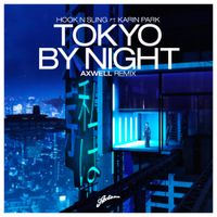 Hook N Sling - Tokyo By Night (Axwell Remix)