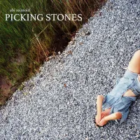 Abi Reimold - Picking Stones