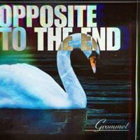 Grommet - Opposite to the End