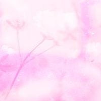ハク。[Haku.] - ふわ輪