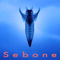 とた [Tota] - Sebone -脊椎盤-