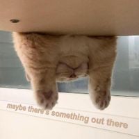narpy - maybe there's something out there