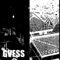 GVESS - BI ZAR RE