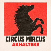 Circus Mircus - Akhalteke