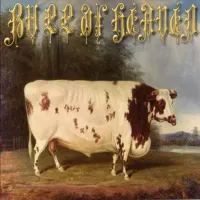 Bull of Heaven - 210: Like a Wall in Which an Insect Lives and Gnaws - Excerpt E