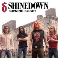 Shinedown - Burning Bright