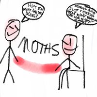Arrows - Moths