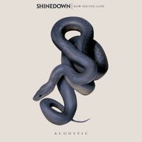 Shinedown - How Did You Love