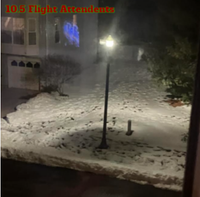 10.5 Flight Attendants - Whenever