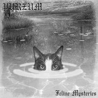 Purzum - Feline Mysteries