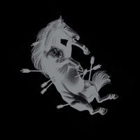 Touch&eacute; Amor&eacute; - Dead Horse X